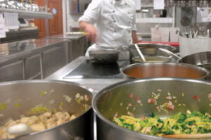 Pest Control in Lytham St Annes